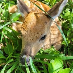 Meet your Posher, Mary